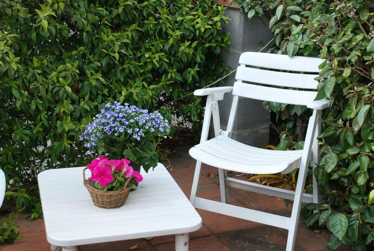 Appartement Casa Ai Pini à Panzano in Chianti Extérieur photo