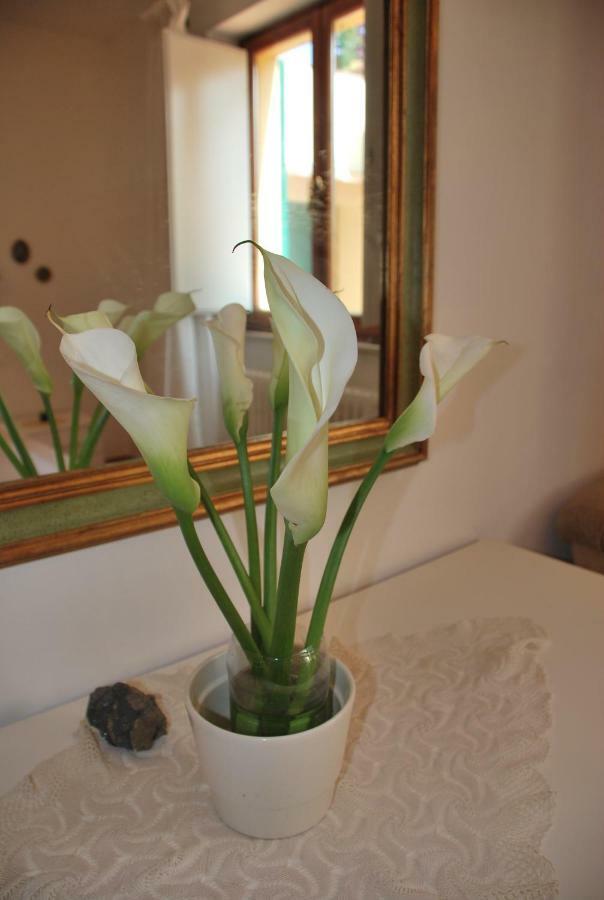 Appartement Casa Ai Pini à Panzano in Chianti Extérieur photo